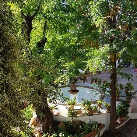 Apartament Patio Andaluz Siglo XVI Sewilla Zewnętrze zdjęcie