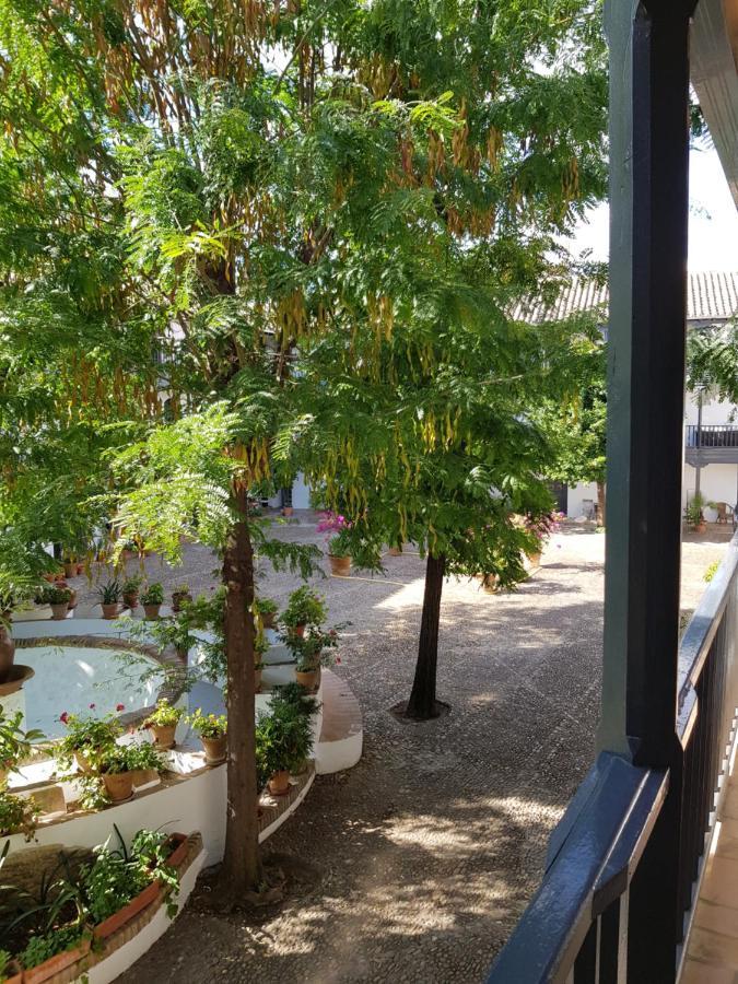 Apartament Patio Andaluz Siglo XVI Sewilla Zewnętrze zdjęcie
