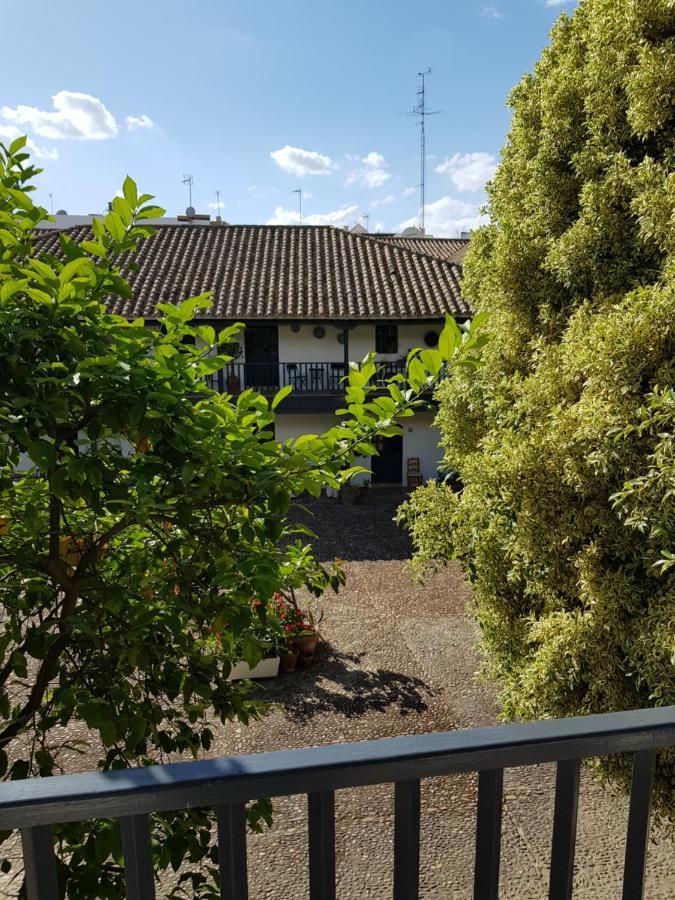 Apartament Patio Andaluz Siglo XVI Sewilla Zewnętrze zdjęcie