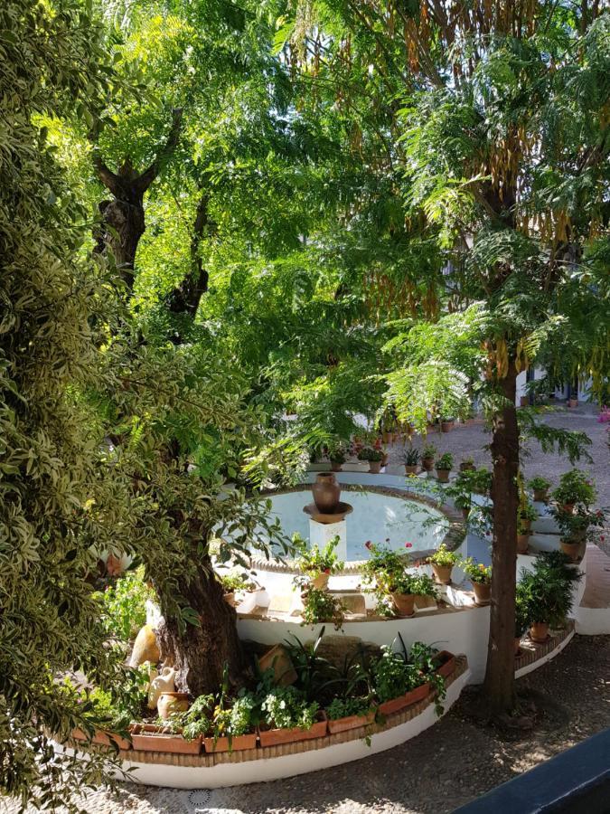 Apartament Patio Andaluz Siglo XVI Sewilla Zewnętrze zdjęcie