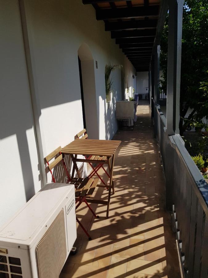 Apartament Patio Andaluz Siglo XVI Sewilla Zewnętrze zdjęcie