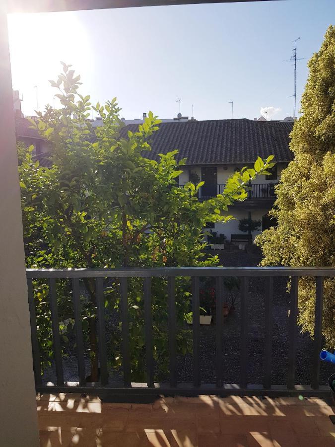 Apartament Patio Andaluz Siglo XVI Sewilla Zewnętrze zdjęcie